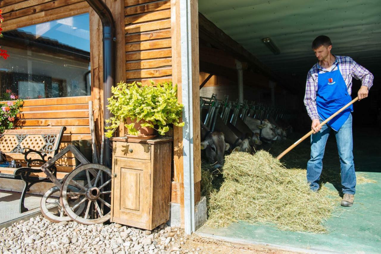 Mair Am Graben Farm * Chalets Terento Exterior photo